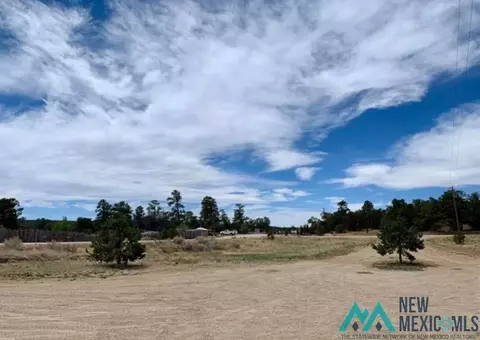 18 Five Gates, Pinehill, NM 87357 photo 3