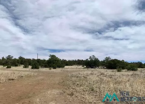 18 Five Gates, Pinehill, NM 87357 photo 9