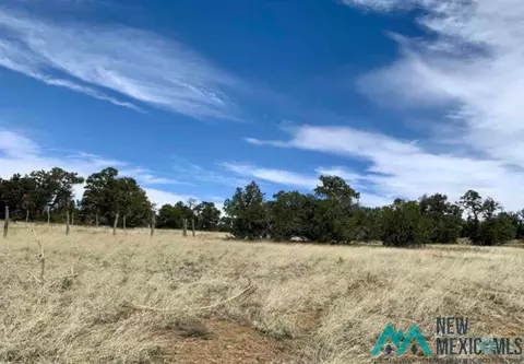 18 Five Gates, Pinehill, NM 87357 photo 5