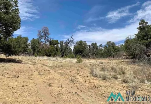18 Five Gates, Pinehill, NM 87357 photo 7