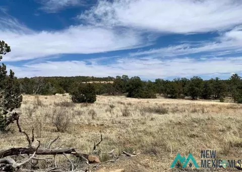 18 Five Gates, Pinehill, NM 87357 photo 6