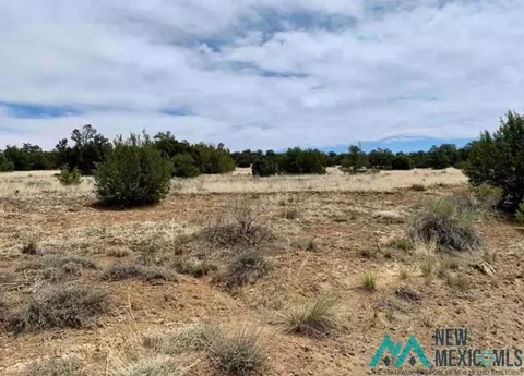 18 Five Gates, Pinehill, NM 87357 photo 4