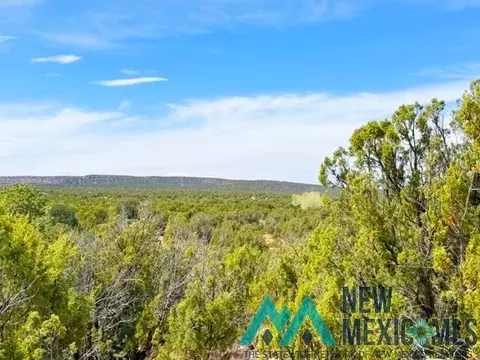 40 Off Of Cr B-29, Ribera, NM 87560