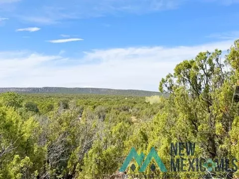 40 Acres Off Of Cr B-29, Ribera, NM 87560