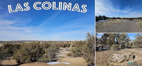 1811 Placitas Trl, Farmington, NM 87401