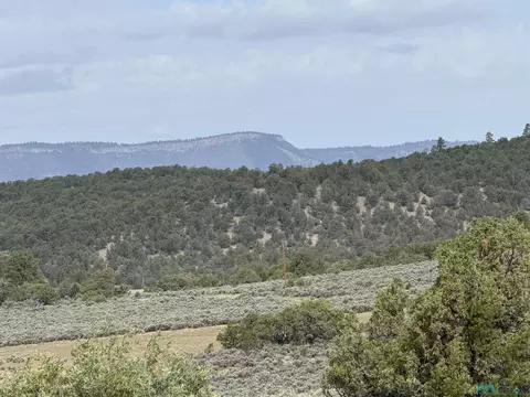 tbd U-3 T-4 Talavera Rd, Tierra Amarilla, NM 87575