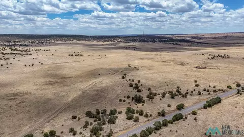0 N 246, Capitan, NM 88316
