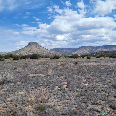 Nn Southern Trail, Datil, NM 87821