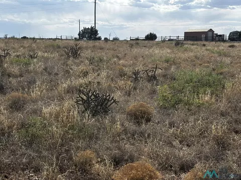 Sr 203 Highway, Fort Sumner, NM 88119