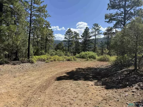 tbd Buckman Road Rd, Chama, NM 87520