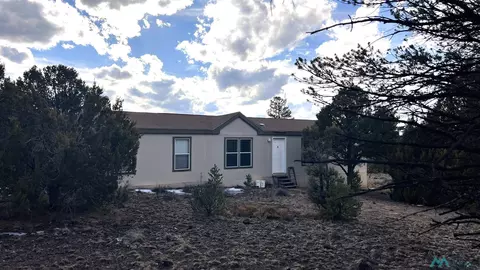 41 El Caso Rd, Quemado, NM 87829