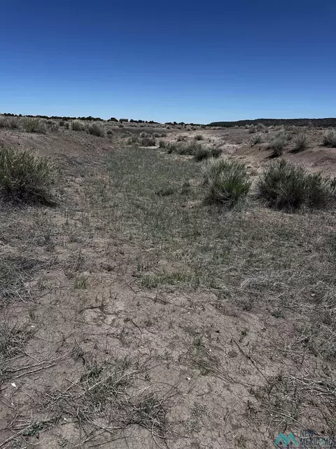 37 Airport Rd, Quemado, NM 87829