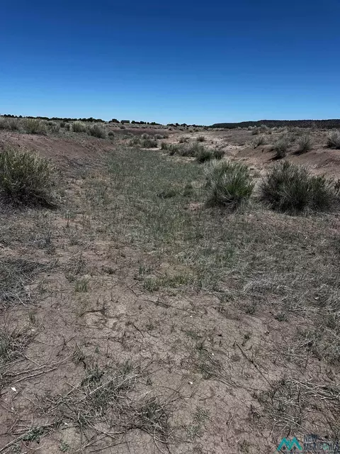 37 Airport, Quemado, NM 87829