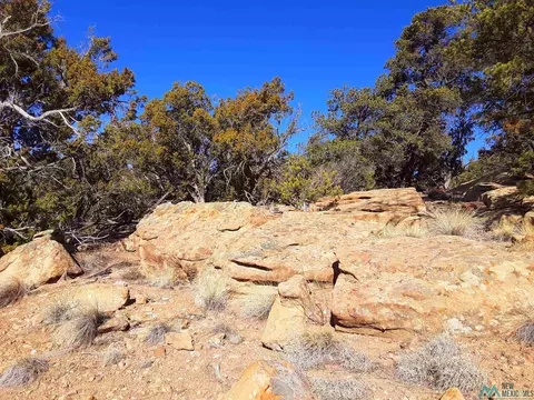 26 Davids Rock Rd, Pinehill, NM 87357