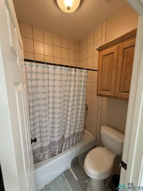 Bath - 978 Curry Road 22 Rd, Clovis, NM 88101 photo 5 of 6