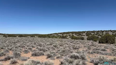 Horseshoe Trail, Quemado, NM 87829