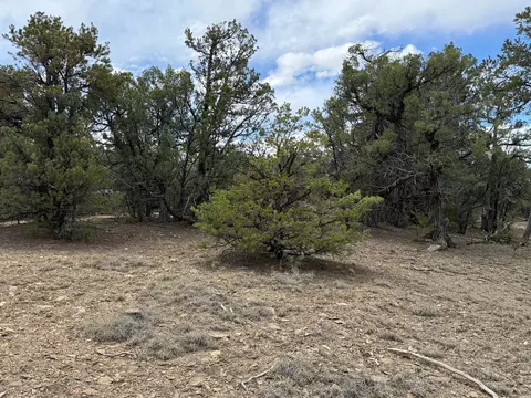 Pinon Ridge Blvd, Los Ojos, NM 87551