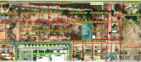1009 E Wood Ave, Carlsbad, NM 88220