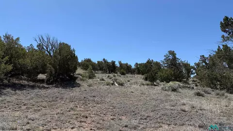 Pima Drive, Quemado, NM 87829