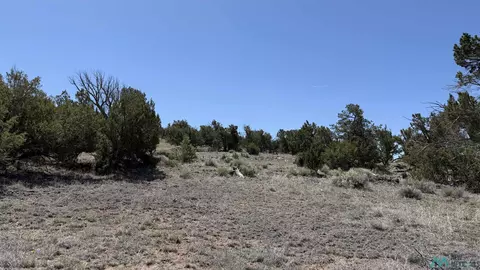 tbd Pima Drive Rd, Quemado, NM 87829