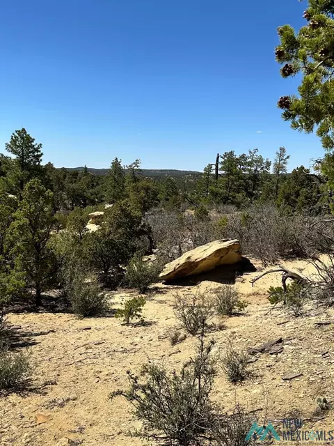 Nn Ranchero Road, Datil, NM 87827