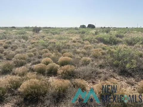 lot48 State Road 203, Lake Sumner, NM 88119