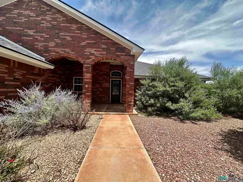4313 Springwood Dr, Clovis, NM 88101 photo 53