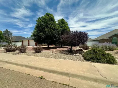 4313 Springwood Dr, Clovis, NM 88101 photo 54