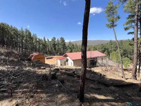 17 Pine Tree Rd, Buena Vista, NM 87712