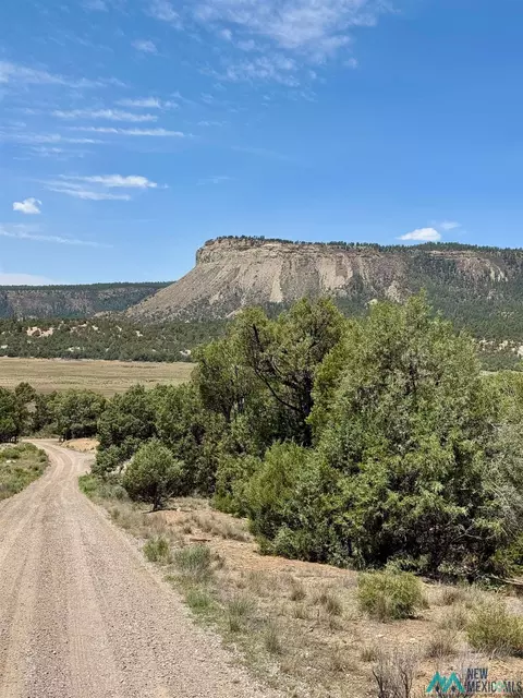 Cedar Circle, Los Ojos, NM 87575