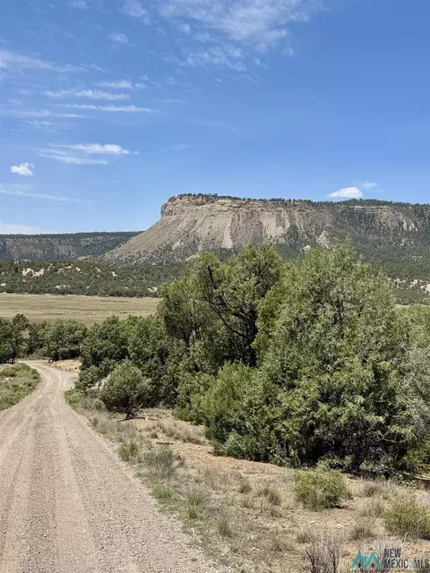 tbd Cedar Cir, Los Ojos, NM 87575