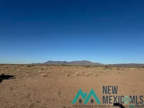 SE Vibora, Deming, NM 88030