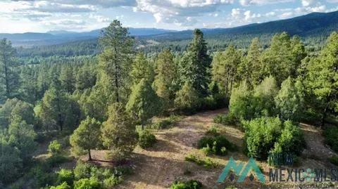tbd Log Ridge Trail Trl, Chama, NM 87520