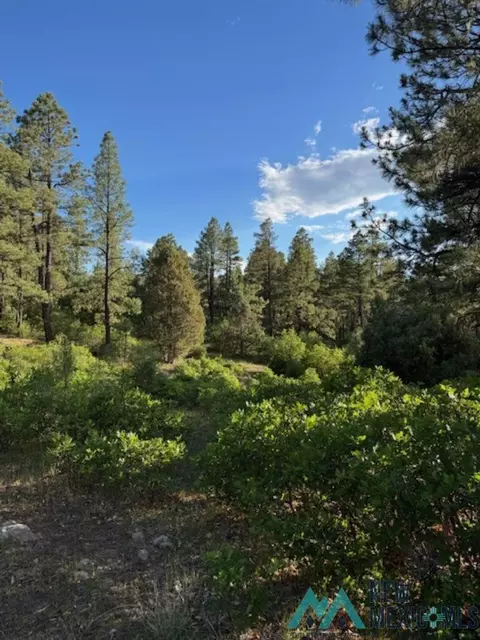 tbd Eagles 2a Rd, Chama, NM 87520