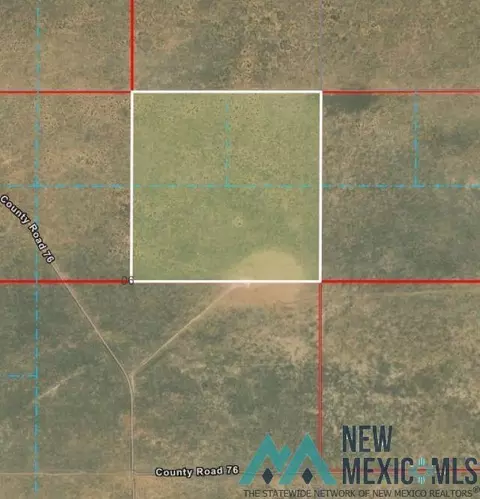 S: 6 T: 7s R: 30e Ne4, Roswell, NM 88203