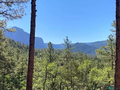69 The Frks, Chama, NM 87520