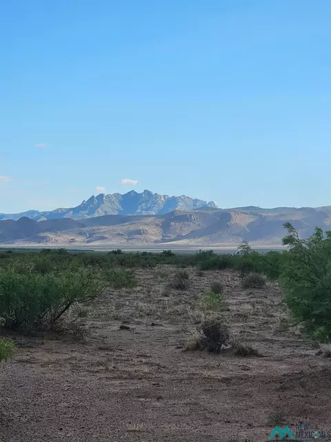 Amapola Rd Se, Deming, NM 88030