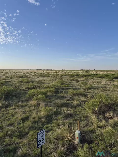 1789 Moreland Rd, Portales, NM 88130