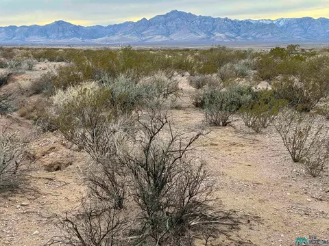 Silver Springs Road, Rodeo, NM 88056