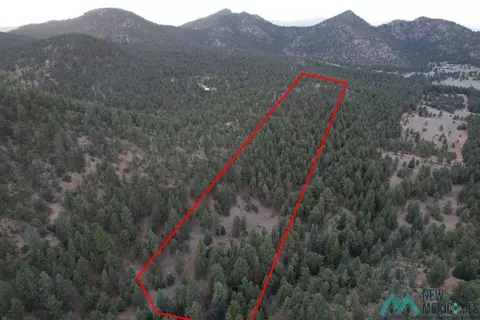 A015 County, Mora, NM 87732