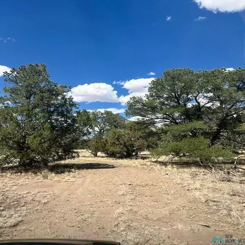 83 Hough Ln, Pie Town, NM 87827