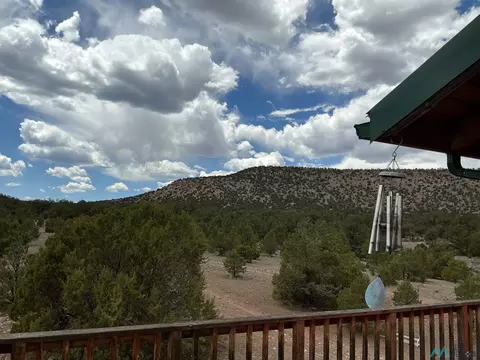 48 Twin Buttes Dr, Datil, NM 87821 photo 16