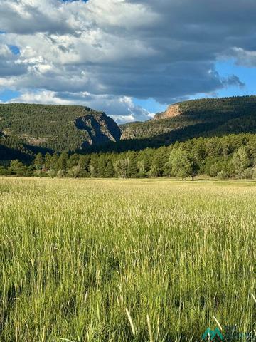 Pd 1788, Chama, NM 87520
