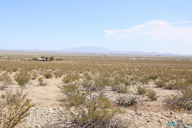 Tamarack Rd Se, Deming, NM 88030