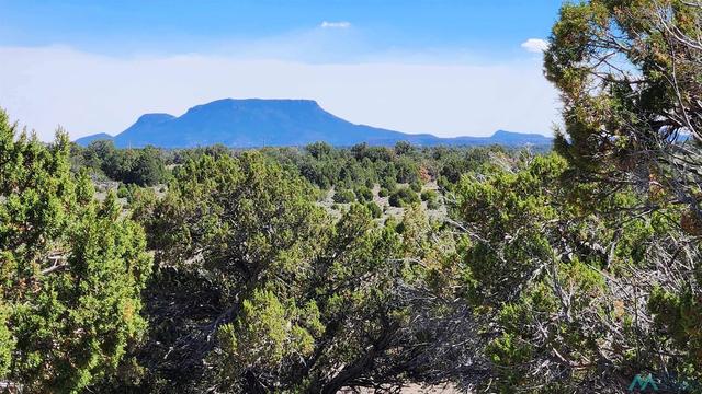 Ocaso Circle, Pie Town, NM 87827