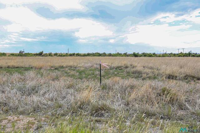Mallard Ave, Roswell, NM 88201