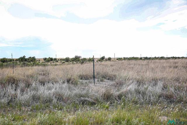 Mallard Ave, Roswell, NM 88201