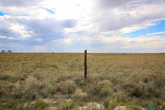 Mallard Ave, Roswell, NM 88201