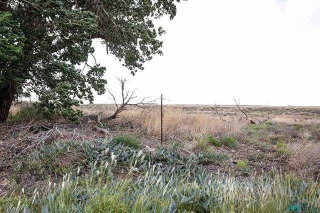 Sandhill Ave, Roswell, NM 88201
