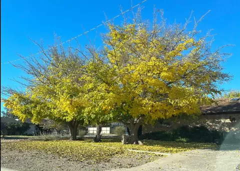 501 Linda Dr, Roswell, NM 88203